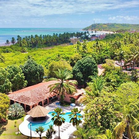 Eco Pousada Paraiso Dos Coqueirais ジャパラティンガ エクステリア 写真