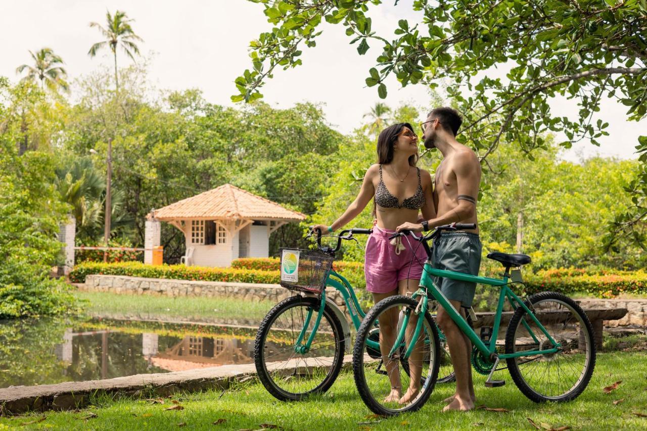 Eco Pousada Paraiso Dos Coqueirais ジャパラティンガ エクステリア 写真