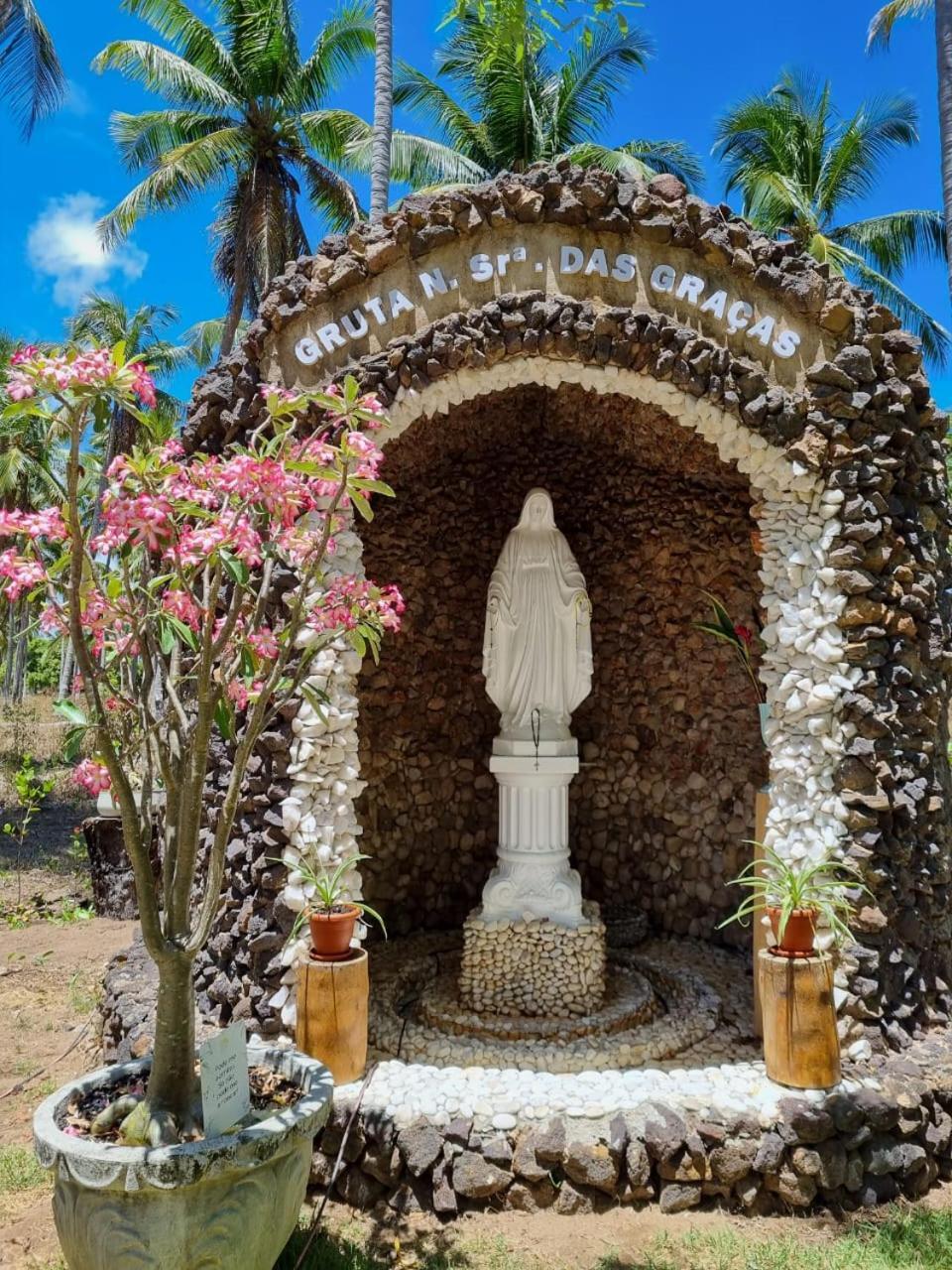 Eco Pousada Paraiso Dos Coqueirais ジャパラティンガ エクステリア 写真