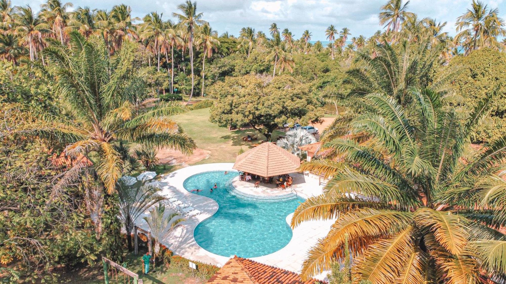Eco Pousada Paraiso Dos Coqueirais ジャパラティンガ エクステリア 写真