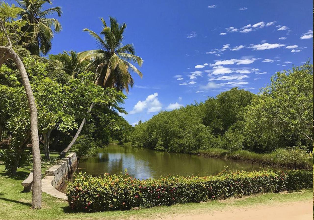 Eco Pousada Paraiso Dos Coqueirais ジャパラティンガ エクステリア 写真
