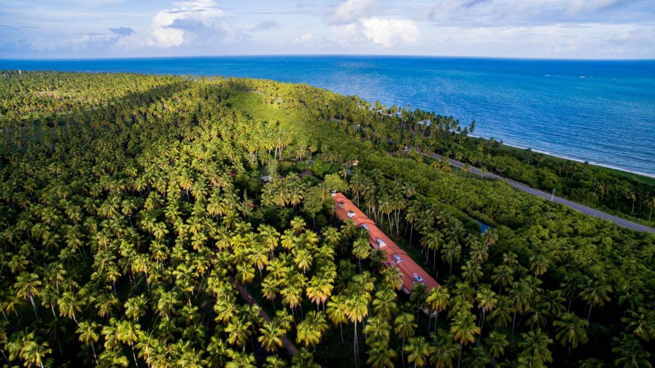 Eco Pousada Paraiso Dos Coqueirais ジャパラティンガ エクステリア 写真